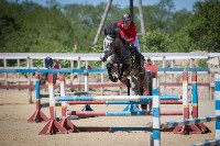 Соревнования по адаптивному конному спорту в Троицком - 2017, Фото: 18