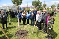 Жители Южно-Сахалинска высадили клёны в память о Победе, Фото: 4