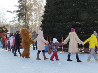 Сказочные герои дали старт новогодним мероприятиям в парке Южно-Сахалинска, Фото: 12