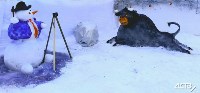 100 снеговиков сделали сахалинские ребятишки на конкурс astv.ru, Фото: 62
