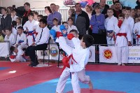 Областной турнир по каратэ WKF, посвященный Дню защитника Отечества, прошел в Южно-Сахалинске, Фото: 4