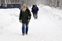 Южно-Сахалинск встретил День защитника отечества снегопадом, Фото: 9