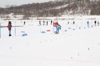 На Сахалине разыграли все комплекты наград юбилейного лыжного марафона, Фото: 22