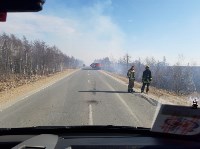 Пал травы перерос в большой природный пожар в окрестностях Березняков, Фото: 10