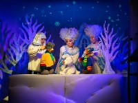 Новогодние спектакли Сахалинского театра кукол, Фото: 5