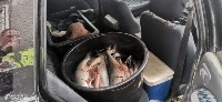 Красную икру и сотни лососей изъяли сотрудники ДПС у двух водителей на Сахалине, Фото: 2