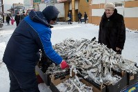 На Сахалине упорядочивают торговлю морскими деликатесами, Фото: 12