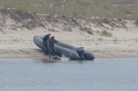 Сахалинцев просят помочь найти людей, издевавшихся над тюленями, Фото: 10