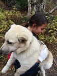 Школьники из Южно-Сахалинска спасли собаку возле останца Лягушка, Фото: 4