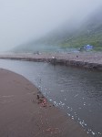 Сахалинец рассказал о "геноциде лососей" в Невельском районе, Фото: 10