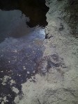 Нефтеразлив в Кыдыланьи, Фото: 4