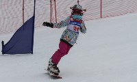Сноубордисты завершили сезон параллельным слаломом, Фото: 10