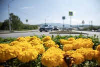 Цветы, Фото: 1