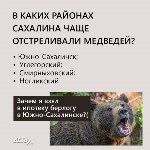 Охотоведы рассказали, сколько человек погибли от лап медведей на Сахалине в 2022 году, Фото: 7
