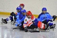 Первая детская команда по слэдж-хоккею появится на Сахалине, Фото: 1
