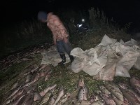 Сахалинские пограничники изъяли у браконьеров почти шесть тонн рыбы, Фото: 2