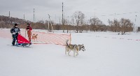 Снежный драйв-2015, Фото: 102