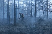 Ответственность за ликвидацию пожаров будут нести главы районов Сахалинской области , Фото: 13