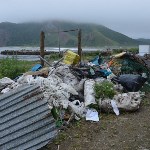 Копившийся 20 лет мусор убирают в Тихой бухте на Сахалине, Фото: 3