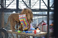Три сотни гостей пришли поздравить льва в сахалинском зоопарке с днем рождения, Фото: 3