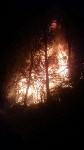 Пожар в Пятиречье, Фото: 4