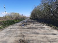 Водителей большегрузов просят не ездить по «альтернативным» дорогам, Фото: 6