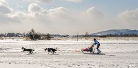 В гонках на собачьих упряжках приняли участие 22 команды со всего Сахалина, Фото: 1