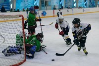 Больше 100 сахалинских школьников сразились в хоккейном турнире, Фото: 1