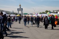 Жители Южно-Сахалинска оккупировали ярмарку на площади Победы, Фото: 4