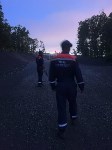 Мужчина залез на дерево, спасаясь от медведя в Южно-Сахалинске, Фото: 1