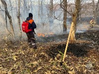 Пожар у села Дубовое тушили 111 человек, Фото: 4