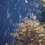 Первый снег выпал в Тымовском районе, Фото: 4