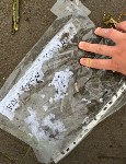На пляж в Песчанском вынесло волнами десятки мешков с товаром, Фото: 1