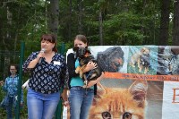 В рамках выставки беспородных собак в Южно-Сахалинске 8 питомцев обрели хозяев, Фото: 114
