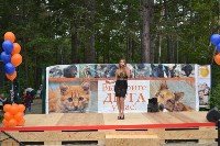 В рамках выставки беспородных собак в Южно-Сахалинске 8 питомцев обрели хозяев, Фото: 35