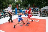 На Сахалине отметили международный день бокса, Фото: 13