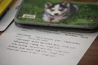 Для маленьких сахалинских нивхов написали учебник на родном диалекте, Фото: 10