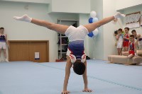 На Сахалине определили сильнейших в спортивной гимнастике, Фото: 14