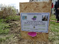 сирень, Фото: 6
