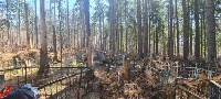 Неизвестные спилили деревья у могил и повредили оградки на кладбище в Южно-Сахалинске, Фото: 9