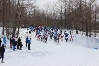 Около 300 сахалинских лыжников стартовали в гонках на призы В.П. Комышева, Фото: 12