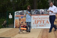 В рамках выставки беспородных собак в Южно-Сахалинске 8 питомцев обрели хозяев, Фото: 166