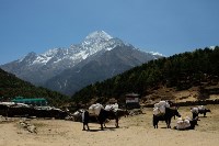 Сахалинцы отправились к подножию Эвереста, Фото: 15