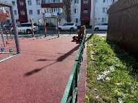 Детскую площадку в Невельске завалили мусором, Фото: 4