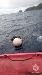 Поиски пропавшей в море у Монерона, Фото: 2