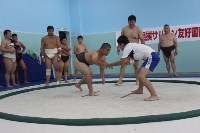 Впервые в истории на Сахалине прошел турнир по борьбе сумо, Фото: 24