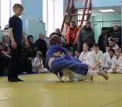 В Южно-Сахалинске пройдет детский командный турнир по дзюдо , Фото: 6