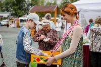 Сладости, печенье и мороженое раздавали на ярмарке в Южно-Сахалинске, Фото: 2